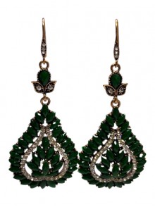 Fashion Earrings